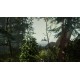 The Forest PS4 Account