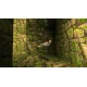 Tomb Raider: Definitive Edition EU XBOX ONE CD Key