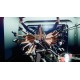 Killer is Dead - Nightmare Edition BR Steam CD Key