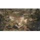 Company of Heroes Franchise Edition ASIA Steam Gift