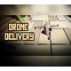Drone Delivery Steam CD Key