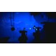 Oddworld: Soulstorm Enhanced Edition PS5 Account
