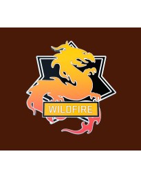 CS:GO - Series 3 - Wildfire Collectible Pin