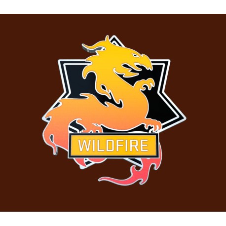 CS:GO - Series 3 - Wildfire Collectible Pin