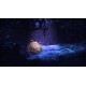 INDIE BUNDLE: Shiness and Seasons after Fall AR XBOX One CD Key