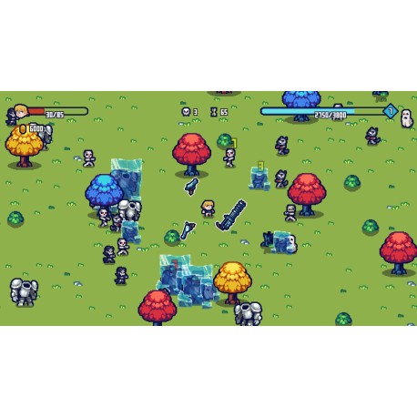 Hero Survival Steam CD Key