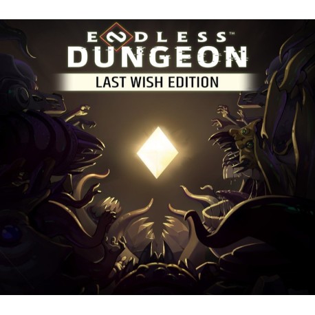 ENDLESS Dungeon Last Wish Edition PC Steam Account