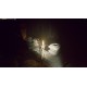 Dimenders Steam CD Key