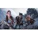 Horizon Forbidden West: Complete Edition Epic Games Account