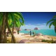 Survivor - Castaway Island Steam CD Key