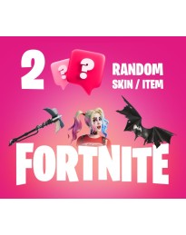 2 Mystery Fortnite Skins / Items PC Epic Games CD Key