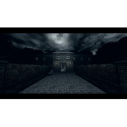 White Mirror Steam CD Key