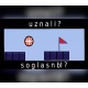 uznali ? soglasnbI ? Steam CD Key