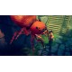Tad The Lost Explorer EG XBOX One / Xbox Series X|S CD Key
