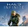 Halo Infinite - Pass Tense Mountain Tiger Armor Coating DLC XBOX One / Xbox Series X|S / Windows 10 CD Key