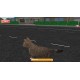 City of Cats Steam CD Key