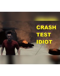 CRASH TEST IDIOT Steam CD Key