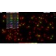 Idle Shapes Steam CD Key