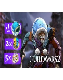 Guild Wars 2 - Explorer Bundle DLC Arena.Net CD Key