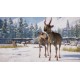 Planet Zoo - Eurasia Animal Pack DLC Steam CD Key