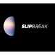 SlipBreak Steam CD Key
