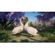 Planet Zoo - Eurasia Animal Pack DLC EU Steam CD Key