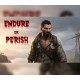 Endure or Perish Steam CD Key