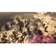 Warhammer 40.000: Gladius - Firepower Pack DLC PC Steam CD Key