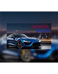 Wanted Driver Steam CD Key