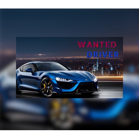 Wanted Driver Steam CD Key