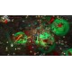 Striving for Light: Survival Steam CD Key