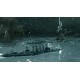 Battlestations Pacific Steam Gift