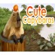Cute Capybaras - Digital Artbook + Bonus Videos DLC Steam CD Key