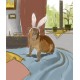 Cute Capybaras - Digital Artbook + Bonus Videos DLC Steam CD Key