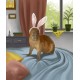 Cute Capybaras - Digital Artbook + Bonus Videos DLC Steam CD Key