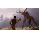 Nightingale Steam Account