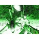 Aliens versus Predator Classic 2000 PC Steam CD Key