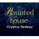 Haunted House: Cryptic Graves Steam CD Key