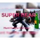 Super Bear: Hunt for the lost beer Steam CD Key