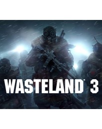 Wasteland 3 PS4 Account