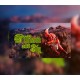 William and Sly Steam CD Key