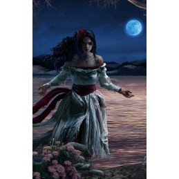 Lost Legends: The Weeping Woman Collector's Edition Steam CD Key