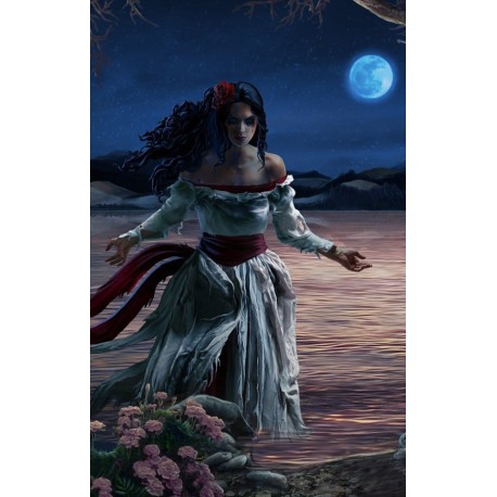 Lost Legends: The Weeping Woman Collector's Edition Steam CD Key