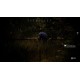 Hunting Simulator 2 Bear Hunter Edition AR Xbox Series X|S CD Key