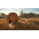 theHunter: Call of the Wild XBOX One / Xbox Series X|S Account