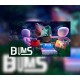 BUMS Steam CD Key