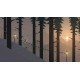 The Alto Collection Steam CD Key