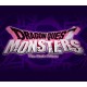 DRAGON QUEST MONSTERS: The Dark Prince Nintendo Switch Access