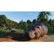 Planet Zoo: Premium Edition 2024 Steam CD Key