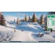 Planet Zoo: Premium Edition 2024 Steam CD Key